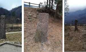 TRONCHI BACENO