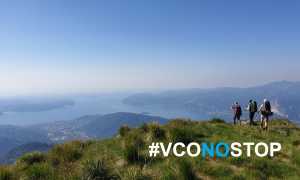 VCONOSTOP