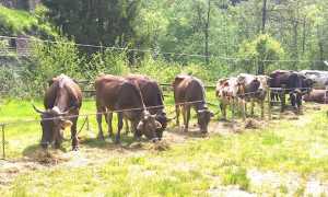 WP 20160522 054 e1524496624564