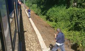 WhatsApp Image 2018 07 04 at 18.39.49