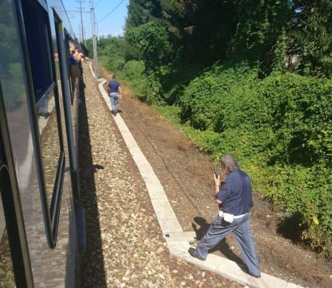 WhatsApp Image 2018 07 04 at 18.39.49