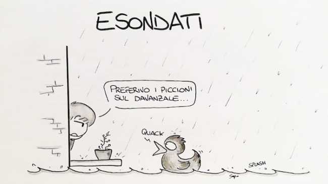 WhatsApp Image 2018 11 06 at 11.59.16