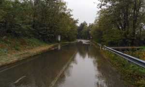 WhatsApp Image 2018 11 06 at 12.25.132 copia