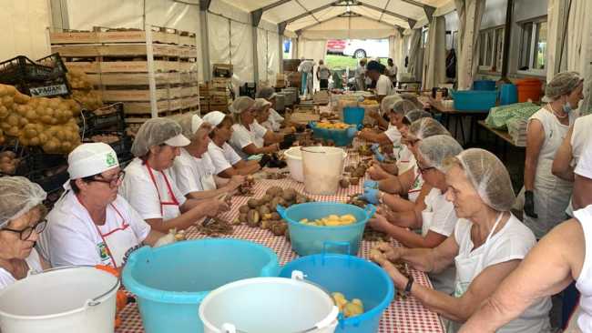 WhatsApp Image 2022 08 26 at 17.52.509