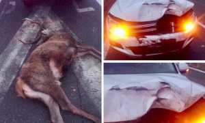 WhatsApp Image 2023 01 13 at 09.47.05