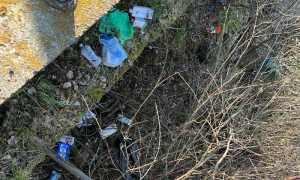 WhatsApp Image 2023 01 30 at 10.04.311