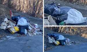 WhatsApp Image 2023 02 14 at 17.35.39