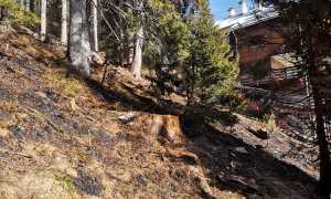 WhatsApp Image 2023 02 20 at 16.19.30