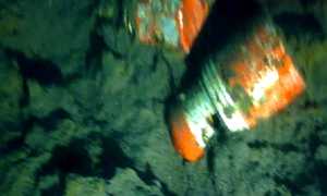 WhatsApp Image 2024 03 15 at 14.30.52