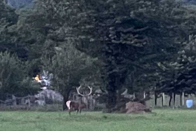 WhatsApp Image 2024 06 28 at 10.18.39