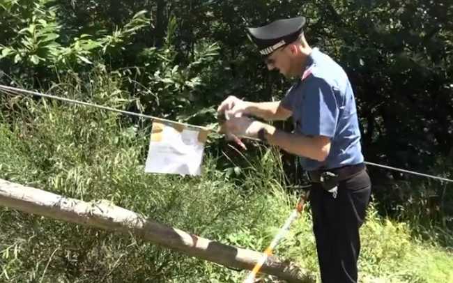 WhatsApp Image 2024 08 28 at 11.03.44