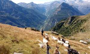 WhatsApp Image 2024 09 21 at 16.43.501