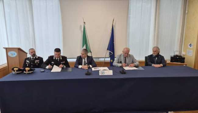 WhatsApp Image 2024 12 10 at 13.34.56