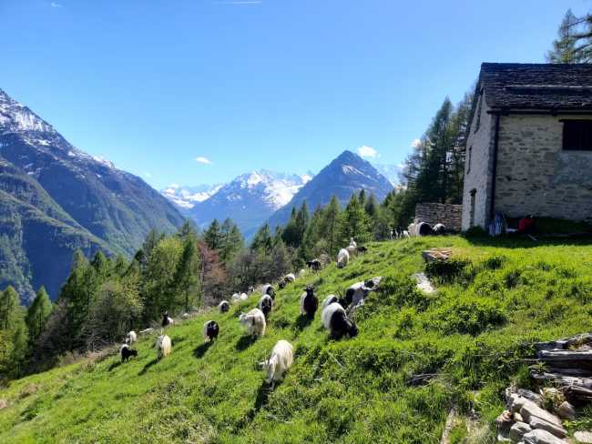 WhatsApp Image 2025 05 21 at 07.28.24