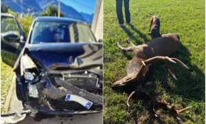 WhatsApp Image 2025 09 29 at 16.23.301