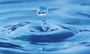 acqua