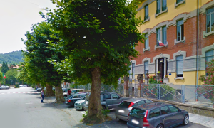 alberi via rosmini scuole milani