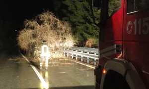 albero strada vigili fuoco notte