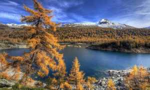 alpe devero