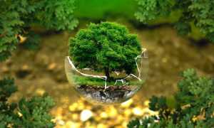 ambiente protezione albero
