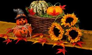 autumn 20461 640