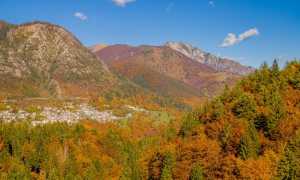 autunno 3