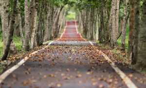 avenue 656969 640