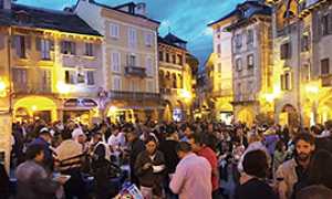 b 1 tastem insema 2015