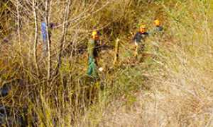 b Taglio piante Ovesca villa 2016