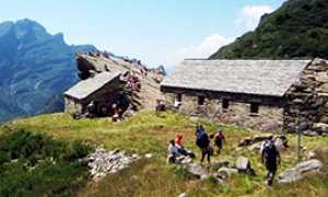 b campi parco grande straolgio