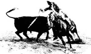 b invito mostra ottoperdieci