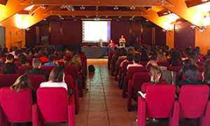 b liberalis lions graffiti