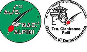 b logo ana domo polli