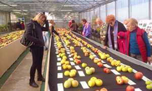 b mostra pomologica villdossola