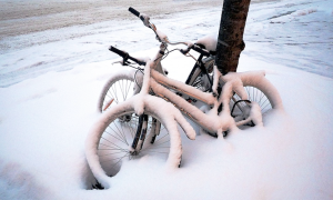 bici neve