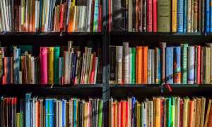books bookstore book reading 159711