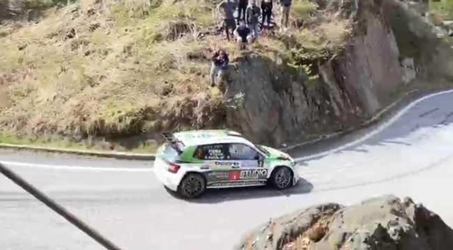 bruni cannobina