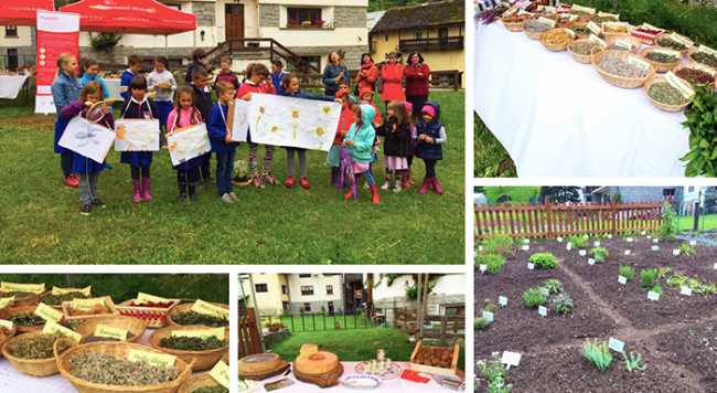 campo didattico formazza 17