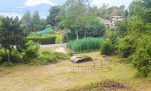 canapa vco giardino lago