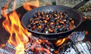 castagne