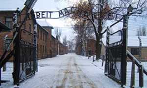 corta aushwitz entrata scritta