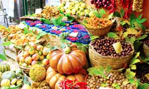 corta autunno prodotti