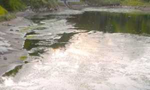 corta lago onzo inquinato