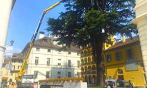 corta lavori luminarie albero cometa natale