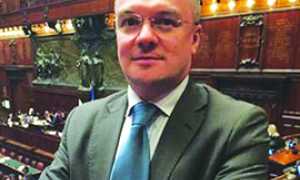 corta legno borghi aula