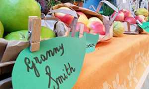 corta mele miele banco