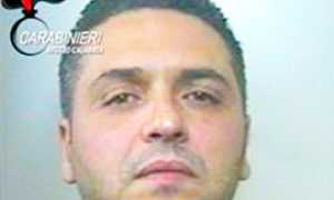 corta monteleone arresto ndrangheta