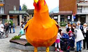 corta palio galline villa