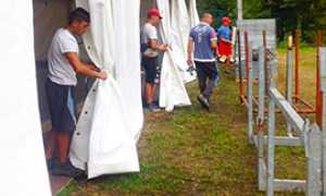 corta sagra patata smantellamento