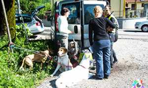 corta soccorso cani
